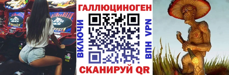 Галлюциногенные грибы GOLDEN TEACHER  купить наркоту  Нерчинск 